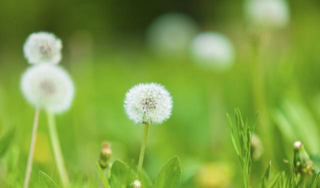 永恒的爱意一生的守候,永恒的爱心万年不变