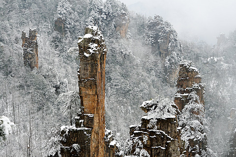 飞雪迎春山花烂漫,飞雪迎春绽玉蕊