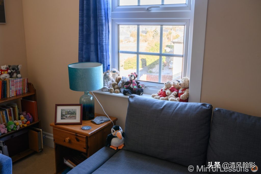 拍鸟用尼康d6好还是z7ii好,拍鸟买r6还是r5