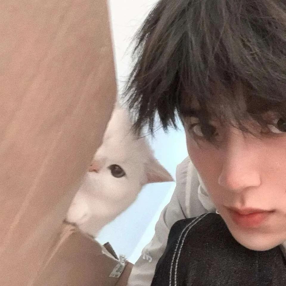 超好看的男生头像,超好看的男生头像漫画