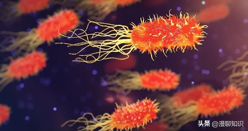 MRSA治疗新途径有哪些？关于CR-AB治疗策略有哪些