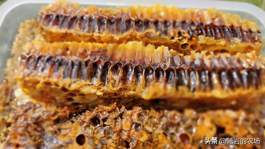 盘点市面五种常见蜂巢