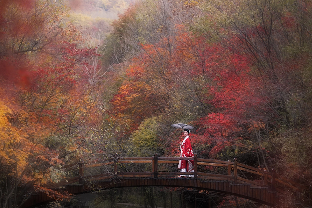 冷枫染红，霜叶流丹。不读这20首红叶诗词，辜负秋光烂漫