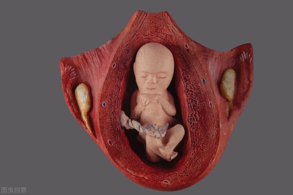 肿瘤一样的“医疗垃圾”，却被很多人当成养生补品，端上餐桌