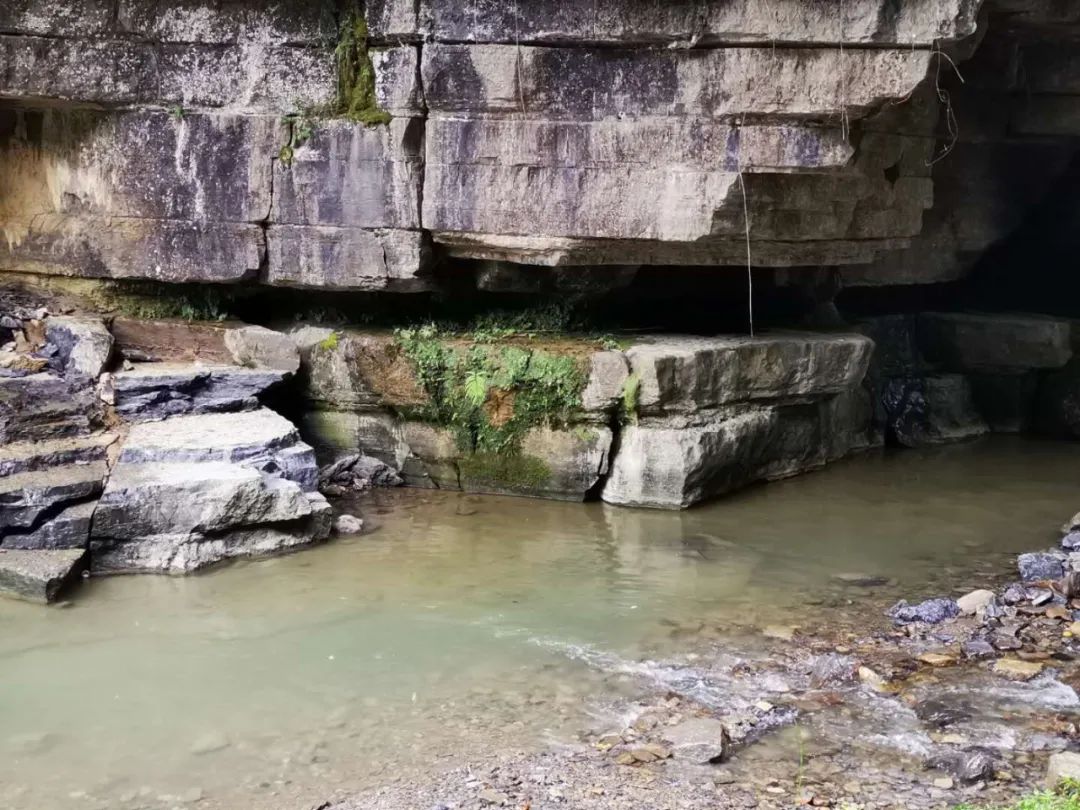 南川区金佛山旅游攻略,南川金佛山一日自驾游攻略