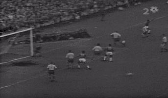 世界三大公认足球球王,球王贝利巴西足球传奇