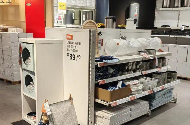 揭秘橙柿互动：宠物用品大揭秘，亲子成长父母必读