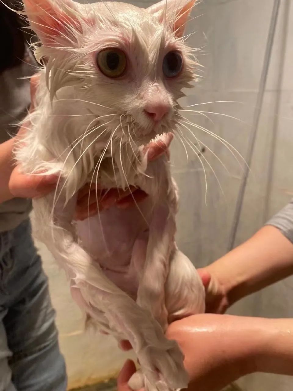 赵明明：上班摸鱼，是我的梦想!