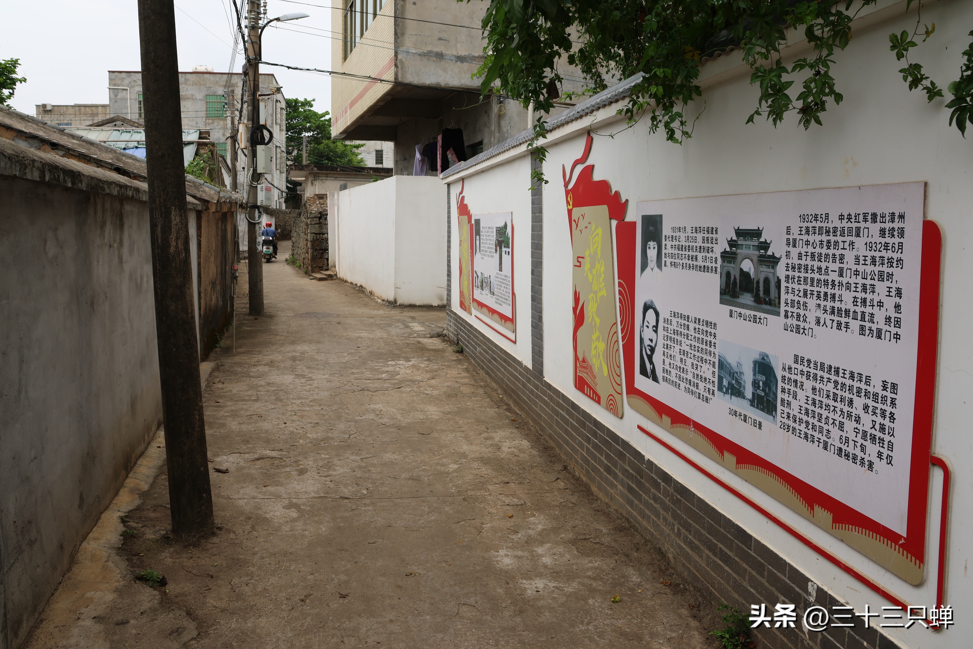 海口王氏宗祠在哪里,海口长流堂善村的人