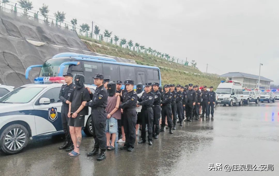 庄浪公安成功侦破一起电信诈骗案,庄浪最新破的诈骗案的结果