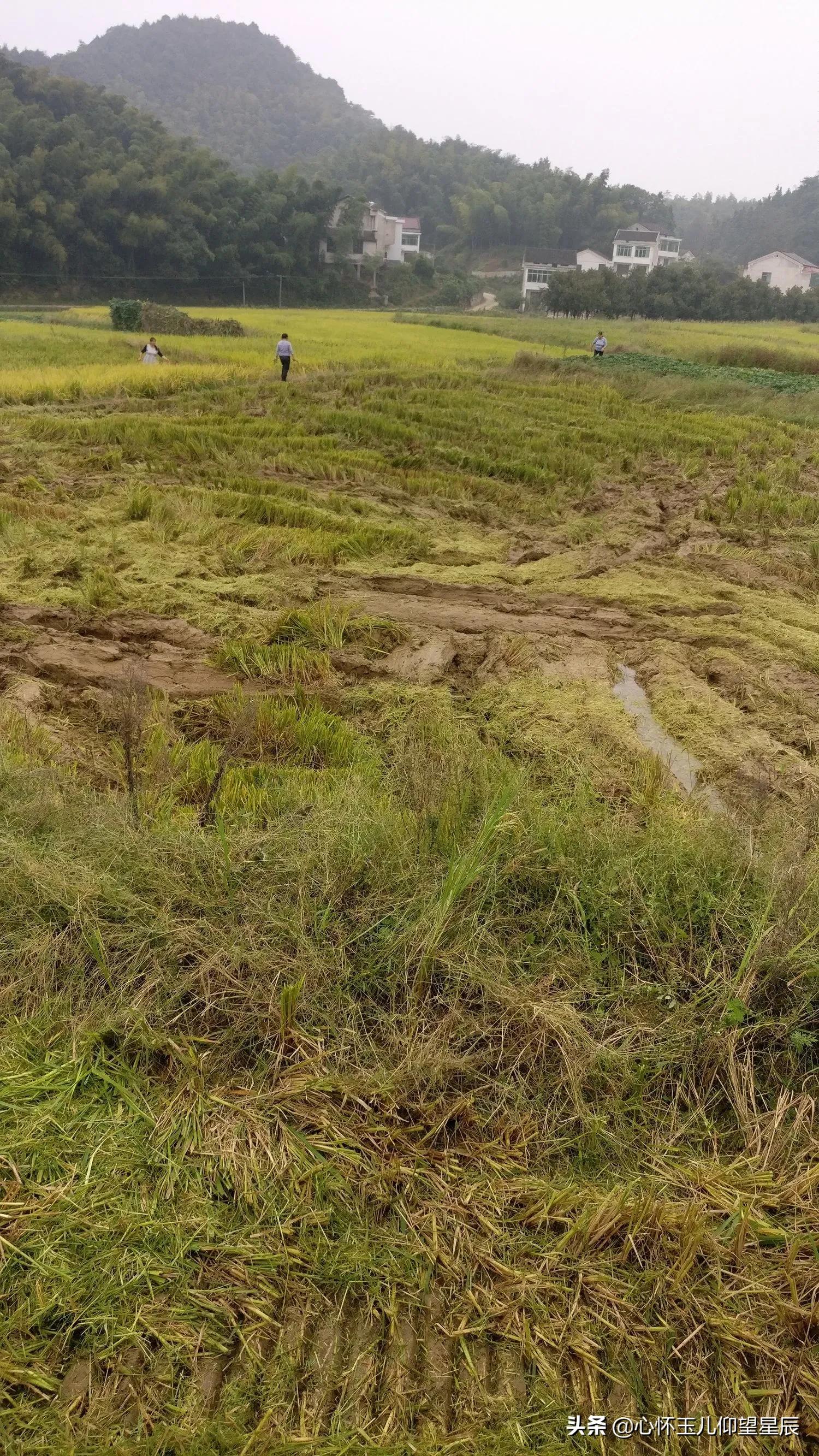 一旦发生战争需要购买什么物资,一旦战争打起来什么东西最不值钱