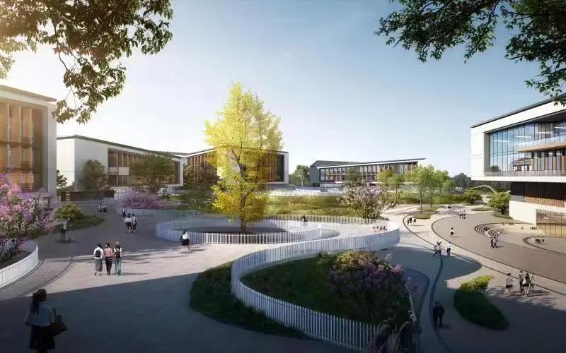 金堂县淮州新城有树德中学吗,成都市树德中学淮州学校招聘