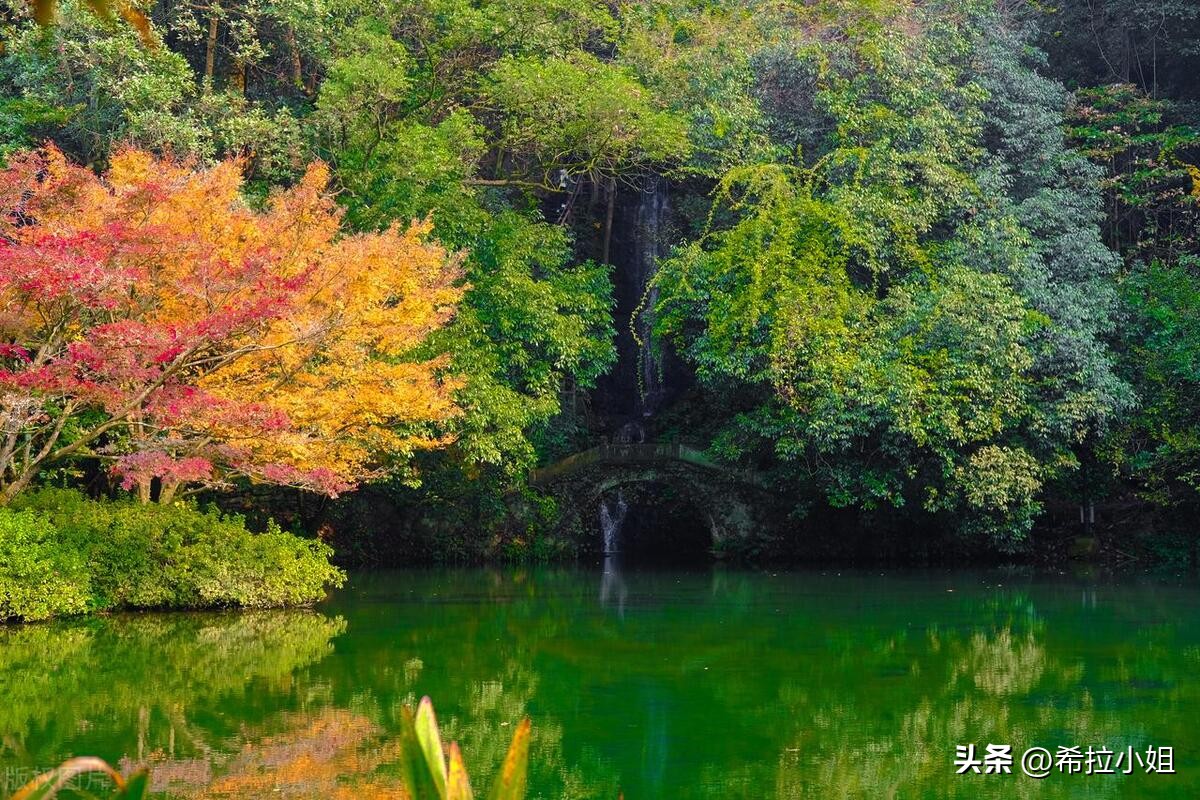 杭州新西湖十景更适合游览哪一景,杭州西湖新十景游玩攻略