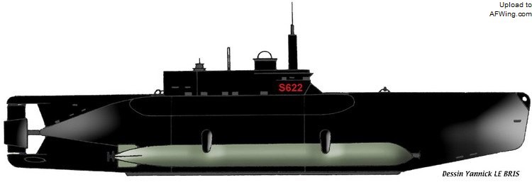 德国海军王牌潜艇,海豹的演化史