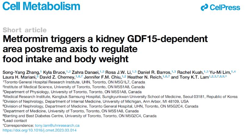 二甲双胍抗衰老的服用量是多少,二甲双胍除了降糖还有减重作用