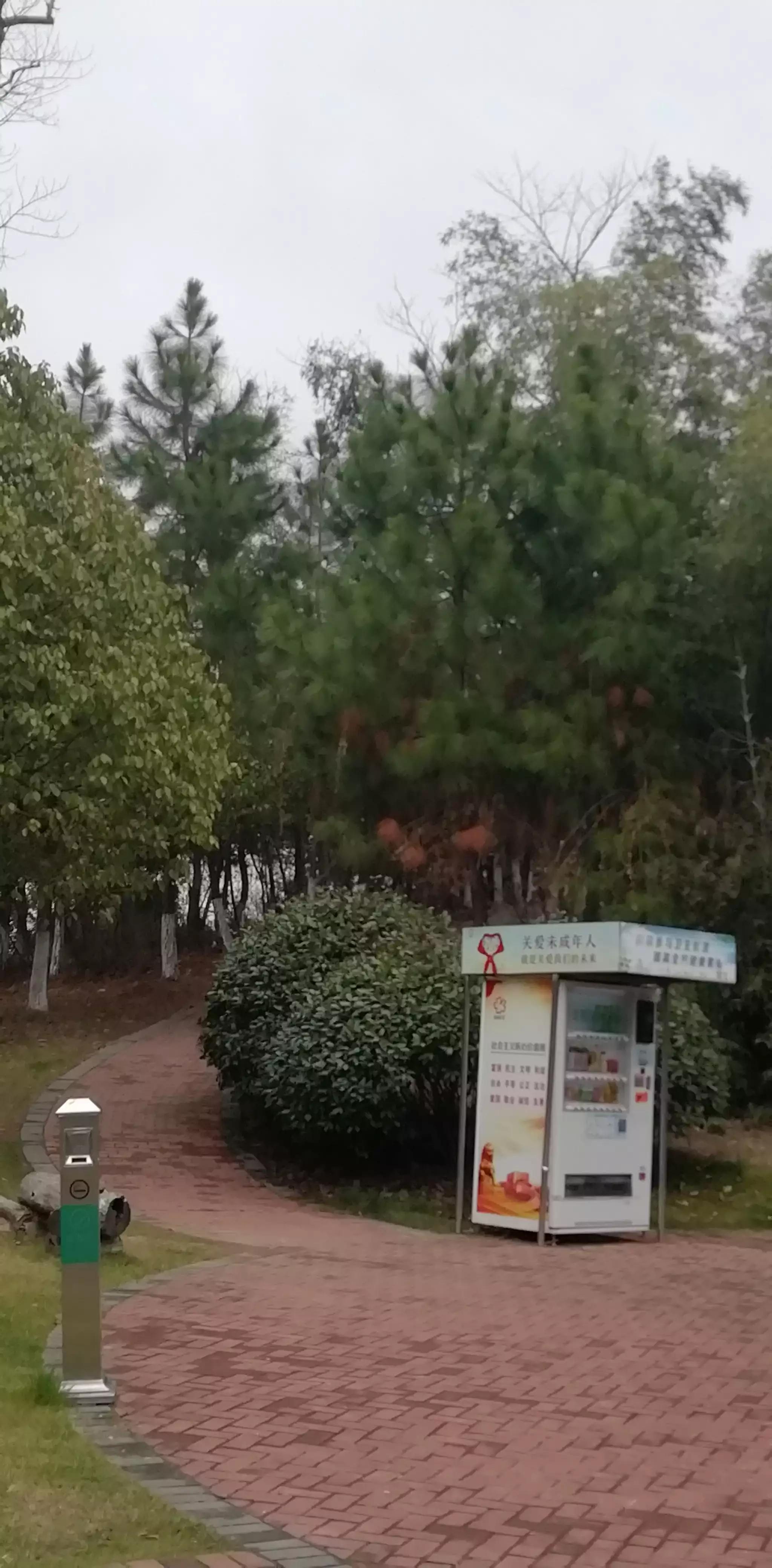 请投友们评论拍摄的怎么样？