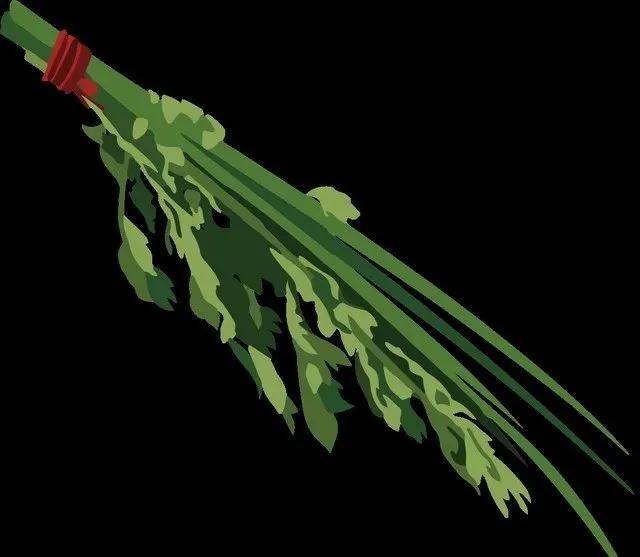 端午节的由来和习俗绘本故事,端午节的由来和习俗作文300字