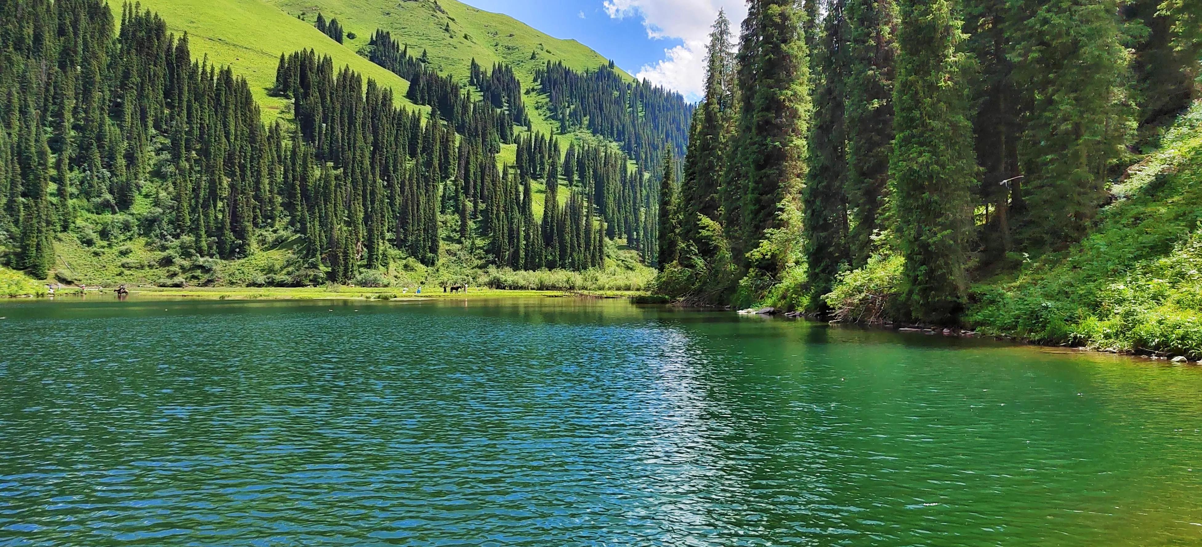 穿越森林探险视频,穿越森林探险之旅