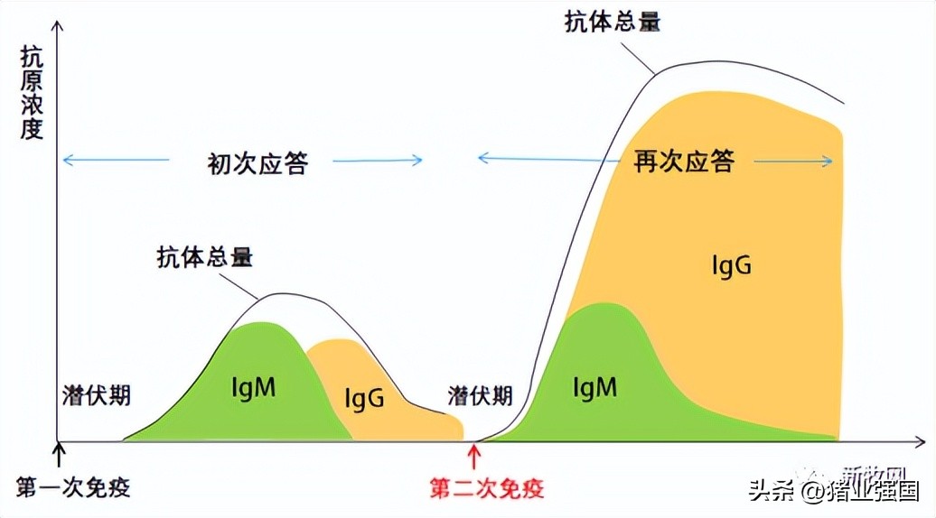 直接损失超669元/头！秋冬高发季来临！中农威特李永霞：口蹄疫防控关注6个核心问题