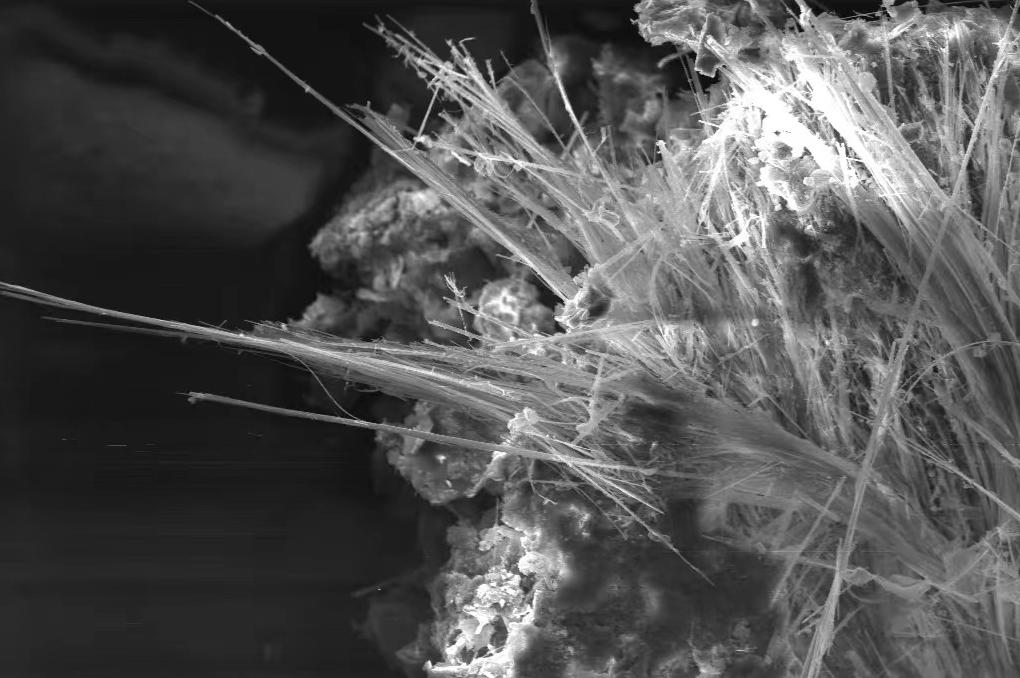 石棉是一级致癌物吗,一级致癌物就藏在你身边