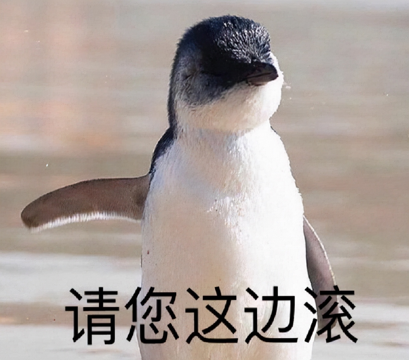 游戏做的不好能申请退款吗,游戏做出来了怎么赚钱