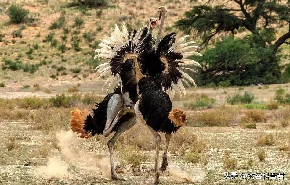 *拍偷**的夫妻生活照，羞羞的