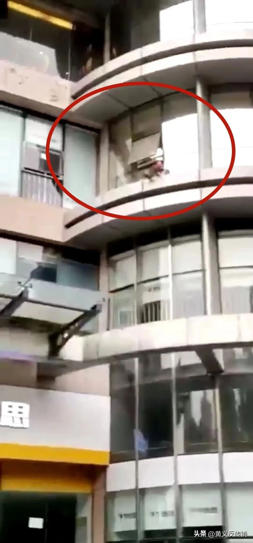 55个项目，有死有跑有预警