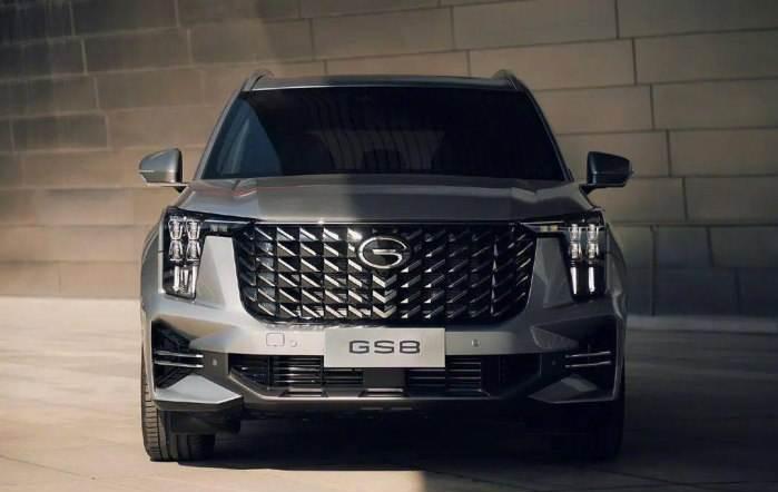 纯电动汽车是市场“新宠”，双引擎系列受欢迎