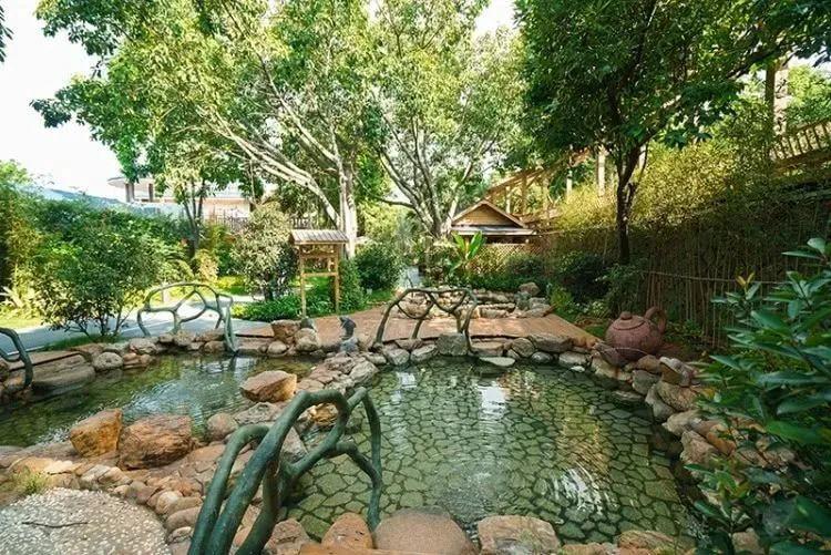 厦门泡温泉日月泉,冬季室外温泉别样感受