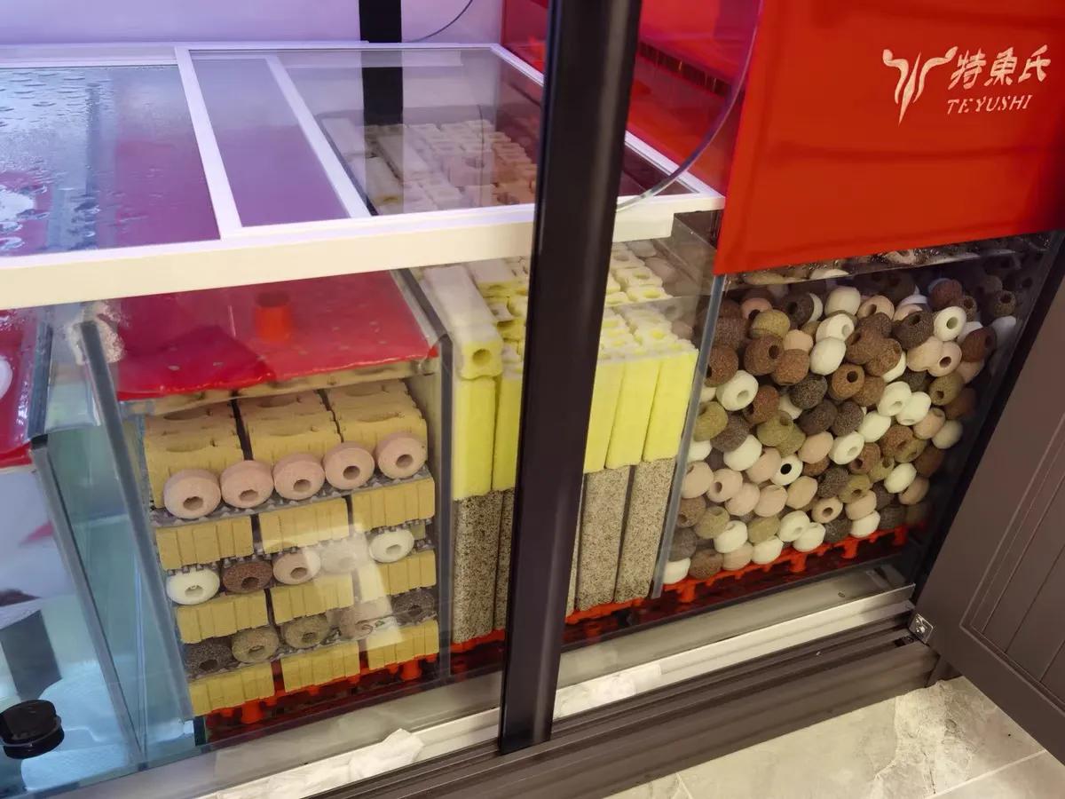 养鱼培养硝化细菌用什么滤材,养鱼哪种细菌滤材好