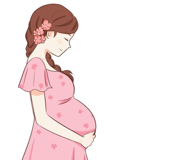 孕期中医调养,孕期中医推荐