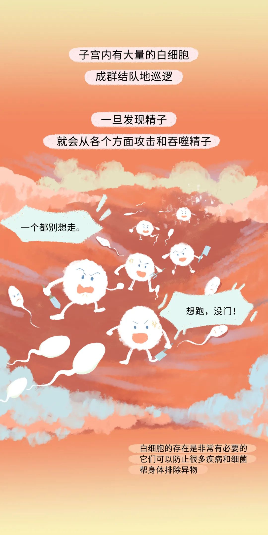 精子进入女生体内的全过程！（漫画）