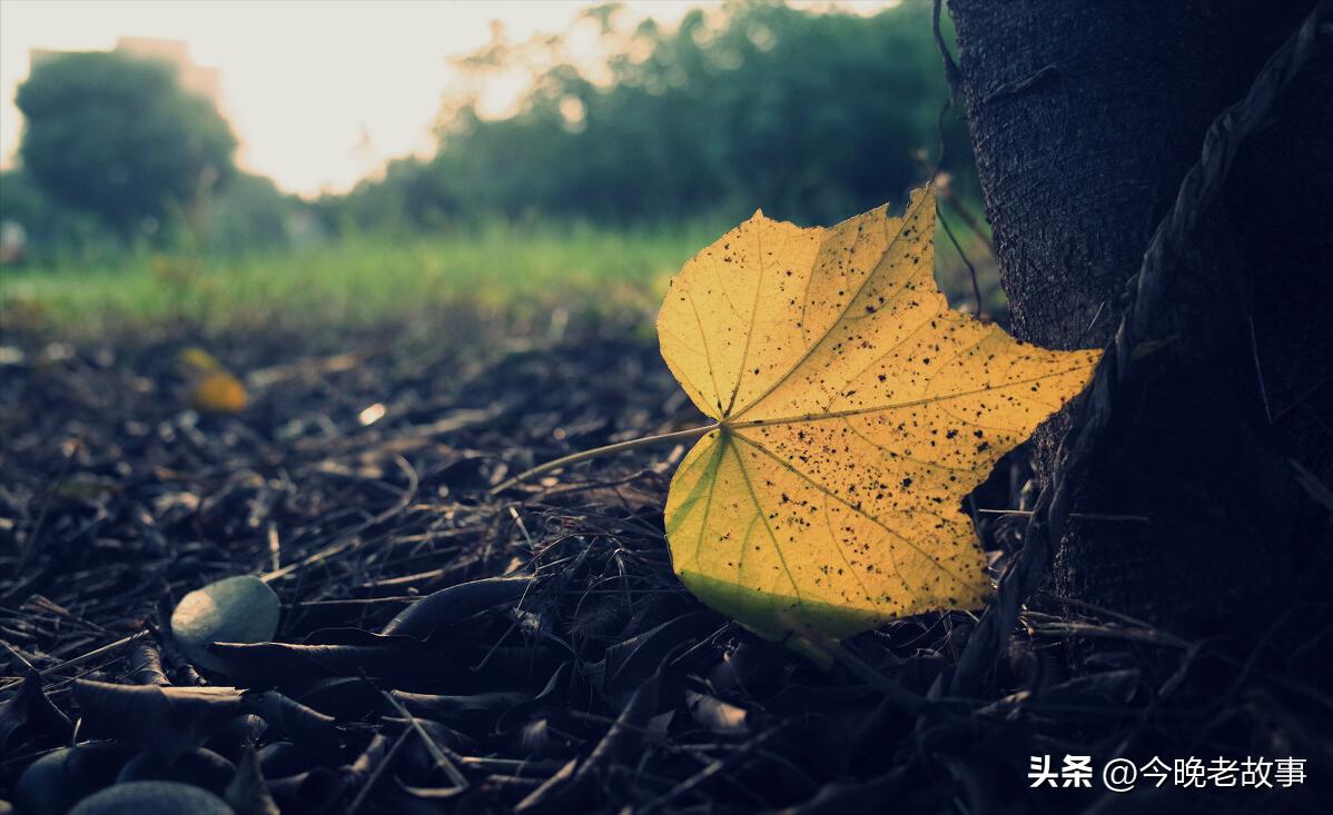揭秘令人恐怖的湘西赶尸真相,揭秘湘西赶尸术之真相