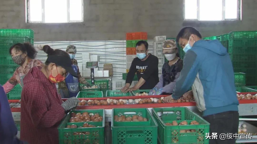 农业农村局疫情防控调研,田间防疫春耕两不误