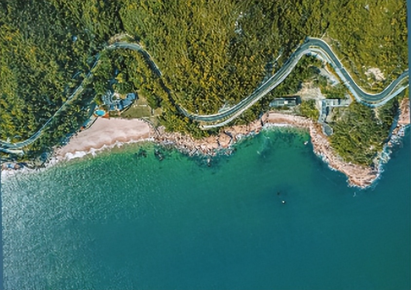 鑺卞紡娣辫共鎸戞垬,鎸戞垬鑺卞紡娣辫共