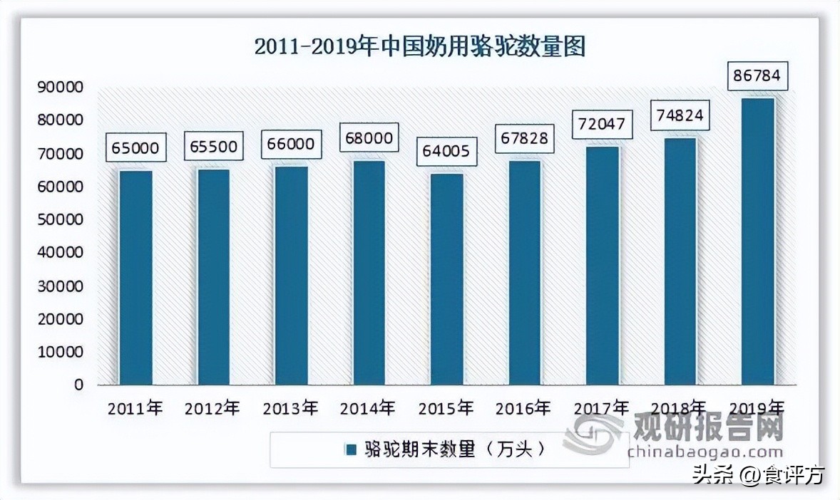 热销高端奶小众奶该怎么选,骆驼奶的发展前景