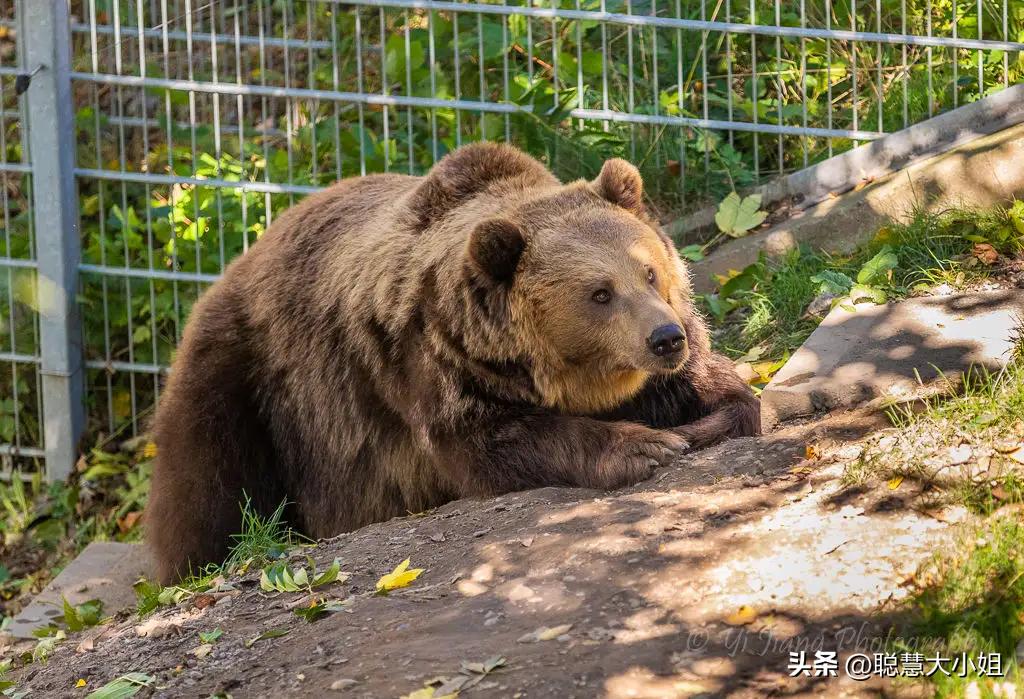 初游欧洲走进浪漫之都,欧洲游推荐自由行