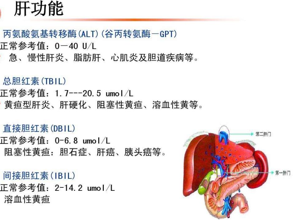 血清谷氨酰基转移酶高是怎么回事,血清谷氨酰转移酶升高是怎么回事