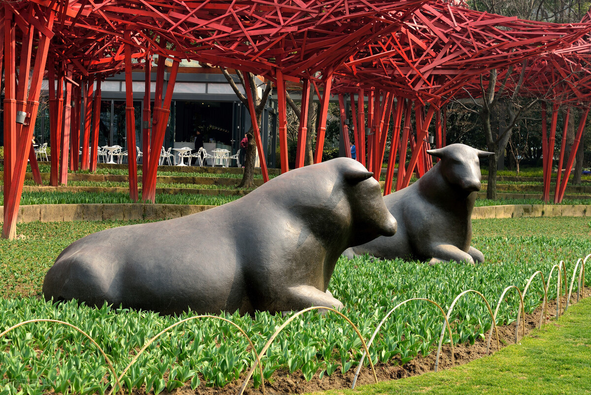 1040阳光大骗局讲解,1040阳光的骗局现在还有吗