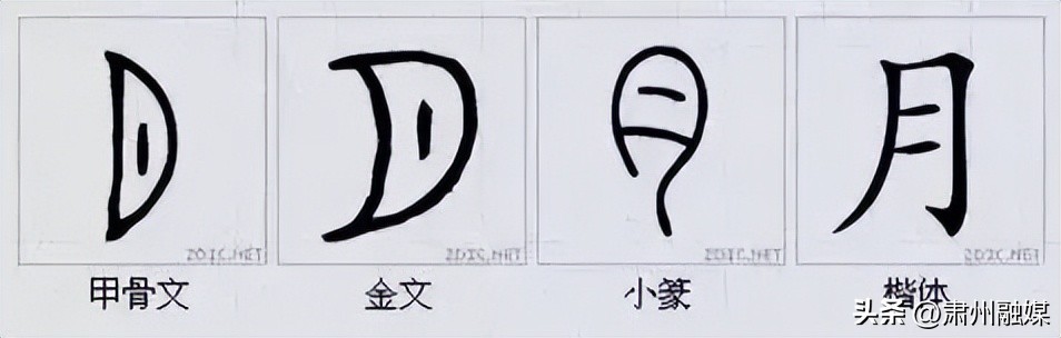 水平极高的演讲太精彩了,十大顶级经典演讲完整版