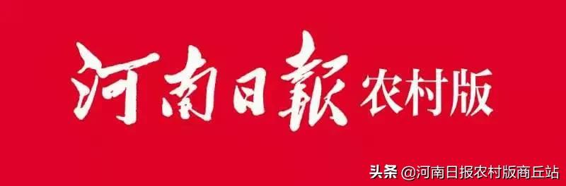 李凯:痴心不改“志愿红”身残志坚写人生