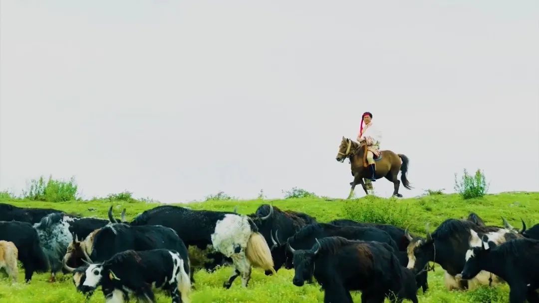 走甘孜,理塘甘孜县