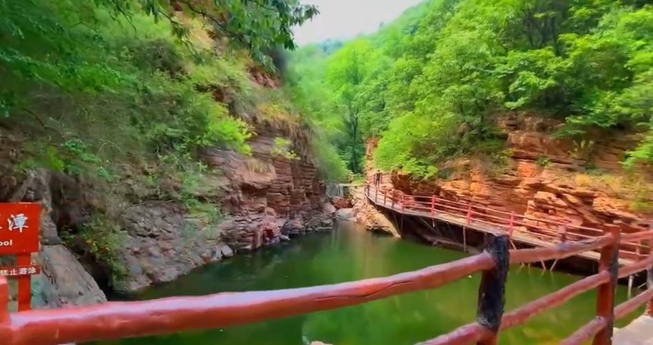 郑州踏青赏花全攻略,郑州最适合踏青赏花的地方