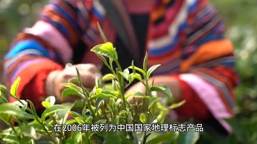 日照的蓝莓产地,山东日照的特色绘画农民画