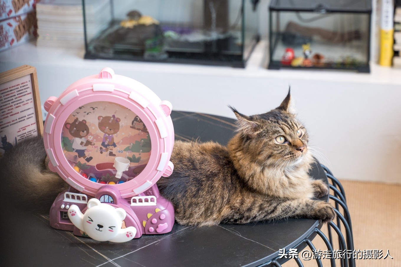 两夜一天游北京,石景山模式口古街