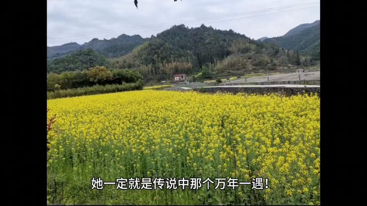 随手一拍都是美景横屏观看,随手一拍都是美景蓝天白云