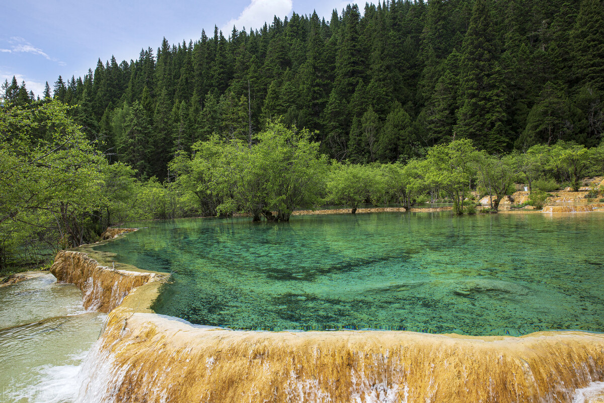 如何实现你的理想计划,通过努力实现自己的梦想事例