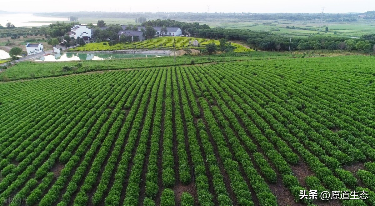 家庭农场扶持资金申请,申报市级家庭农场条件