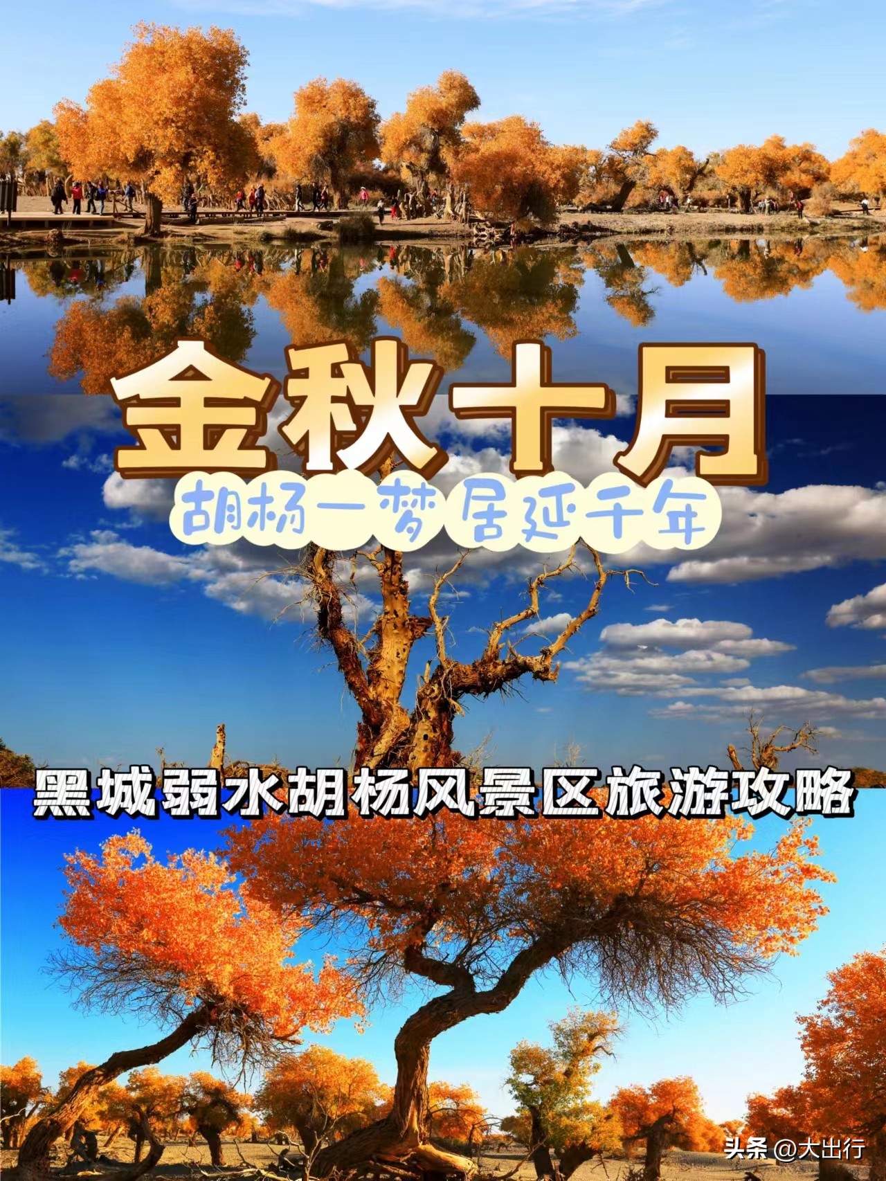 额济纳旗大漠胡杨旅游攻略,额济纳旗黑城遗址胡杨林一日游