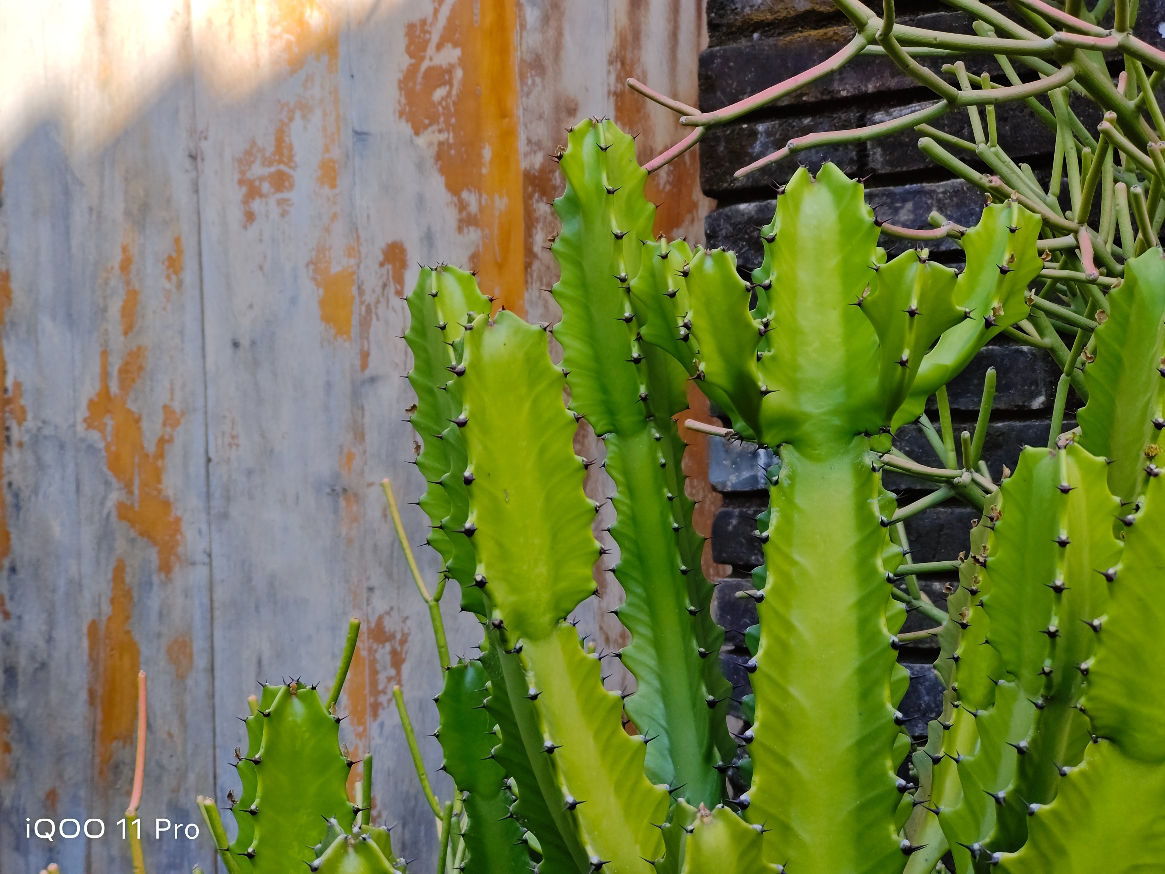 iqoo11pro评测,iqoo11pro深度测评是哪家的